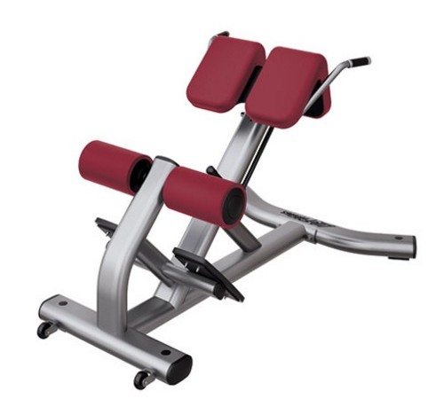 life-fitness-hyperextension-16
